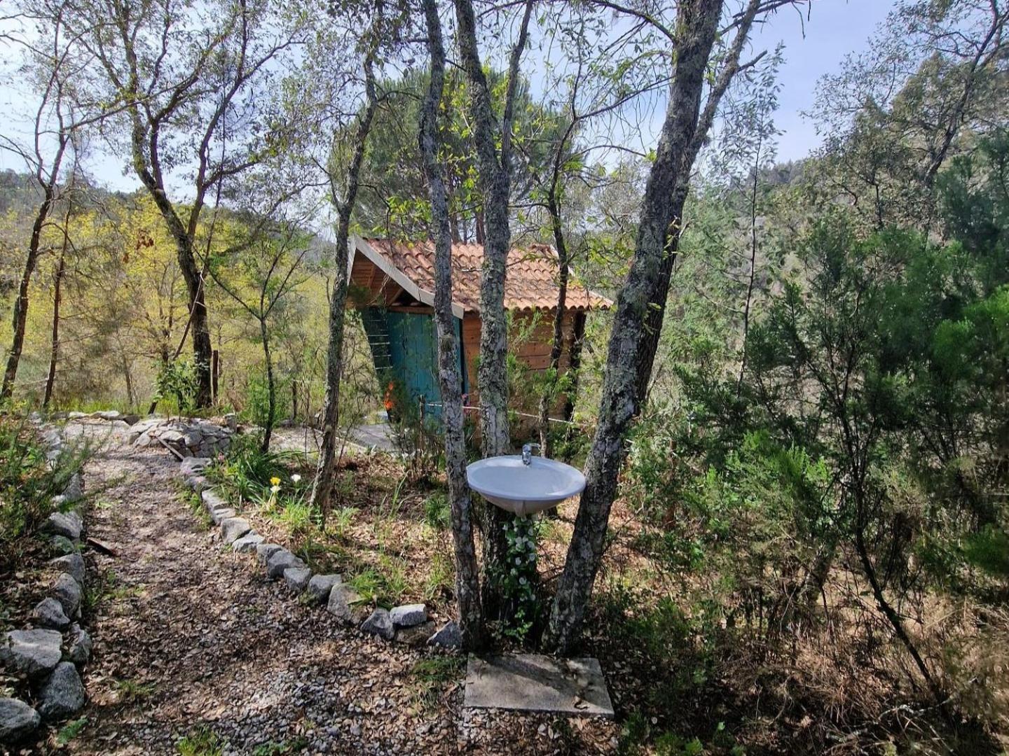 Quinta Da Lontra Villa Tábua Exterior foto